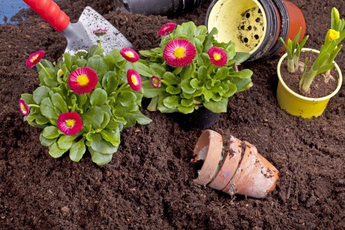 A close-up view of a garden bed in a residential outdoor space with freshly turned dark soil, featuring two vibrant pink and yellow flowering plants with lush green foliage in black plastic pots. To the right, there is a small yellow plastic pot containing young green shoots emerging from soil, and a partially buried terracotta flowerpot lies on its side in the soil. In the background, gardening tools are visible, including a yellow watering can with black spout and a red-handled trowel resting on the soil surface. The scene depicts a well-maintained garden area, likely part of a landscaped backyard or front garden in Pinner, with healthy plant growth, preparing for planting or ongoing garden care, illustrating professional gardening services such as planting, soil preparation, and flower bed maintenance offered by Hedge Trimming Pinner.