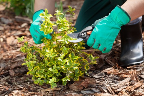 Composting of hedge cuttings and environmentally conscious disposal
