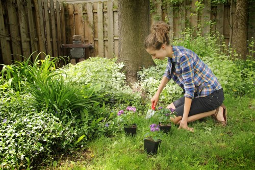 Team performing corrective hedge maintenance work to restore boundary hedging