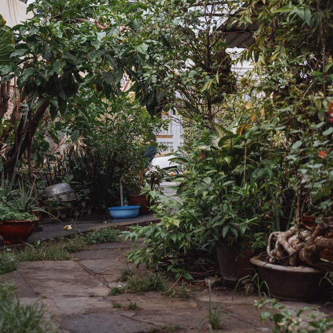 A well-maintained garden featuring a lush, green lawn bordered by a variety of plants and shrubs. In the foreground, broad-leafed hostas with textured, bluish-green leaves sit alongside a neatly trimm